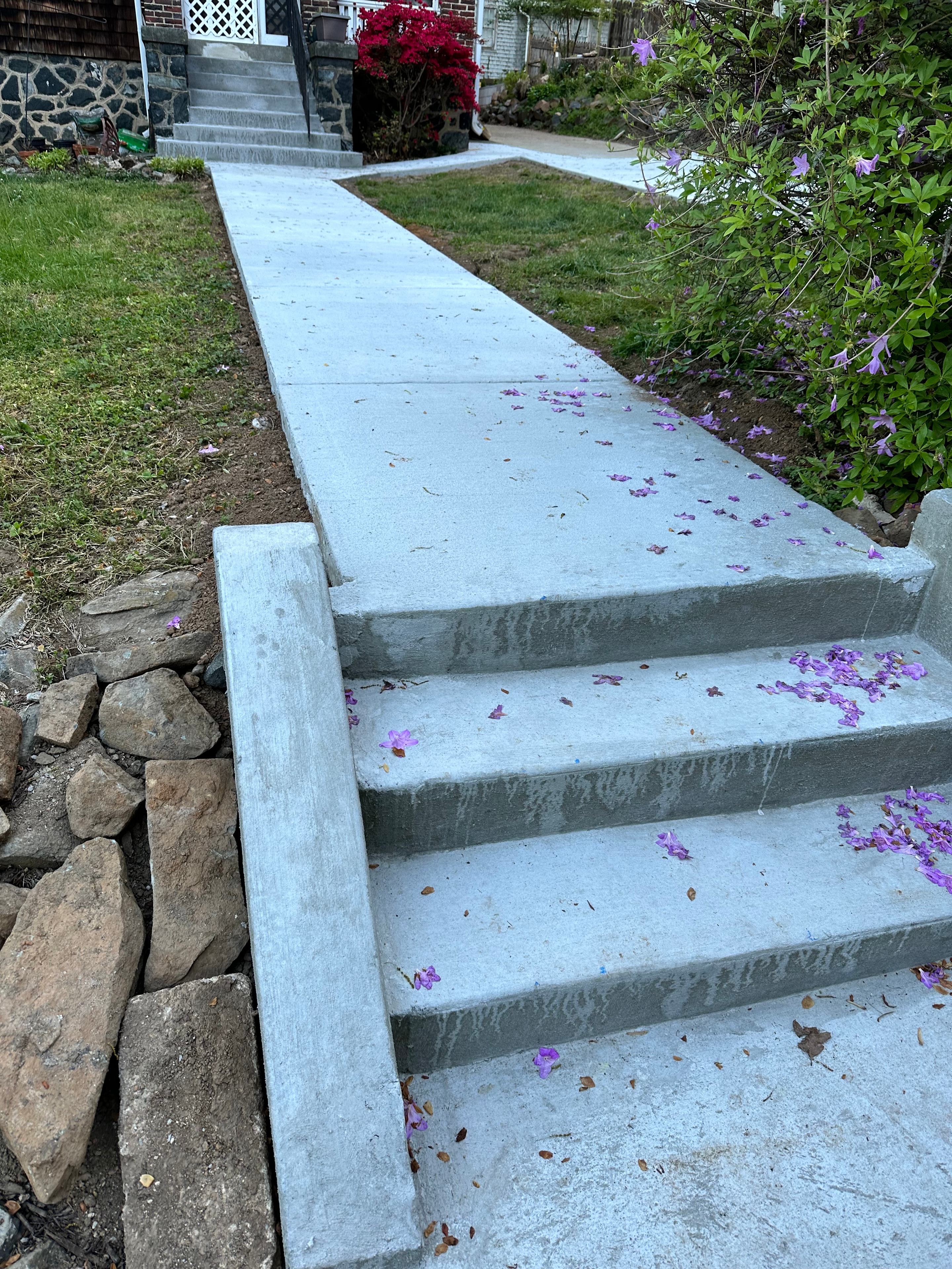 Outdoor concrete steps bordered by landscaping