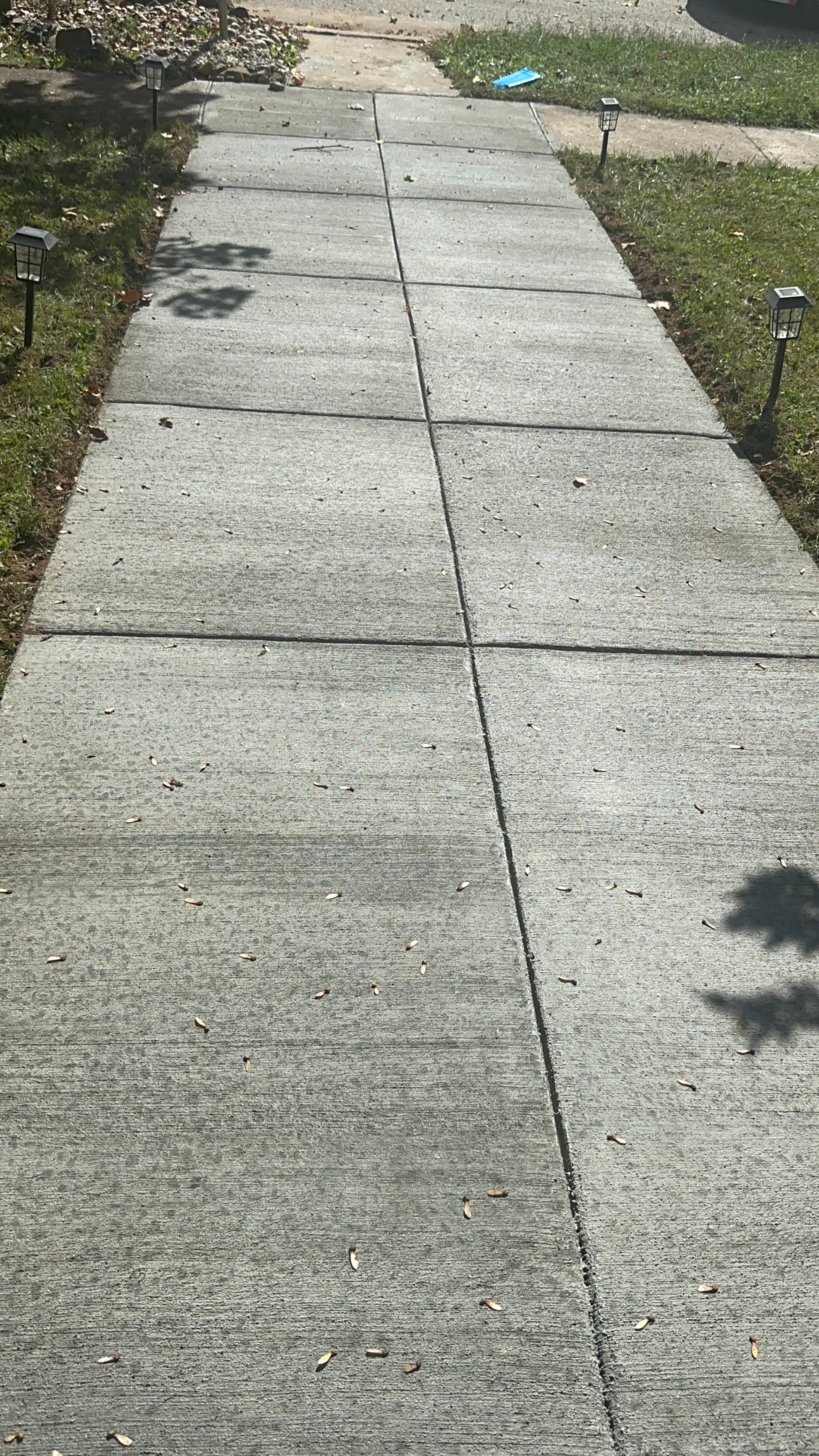 Concrete sidewalk bordered by lawn and path lights